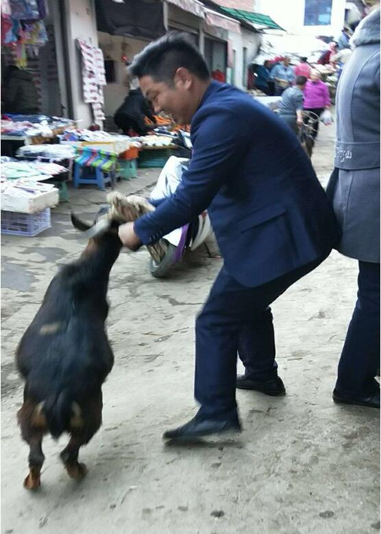 咦，有些不愿意走了！