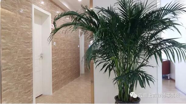 你就是上首的明天！